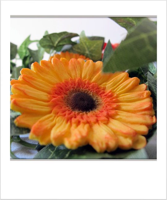 Gerbera de fondant