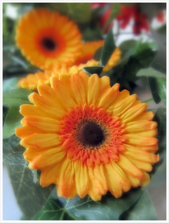 Gerberas de fondant