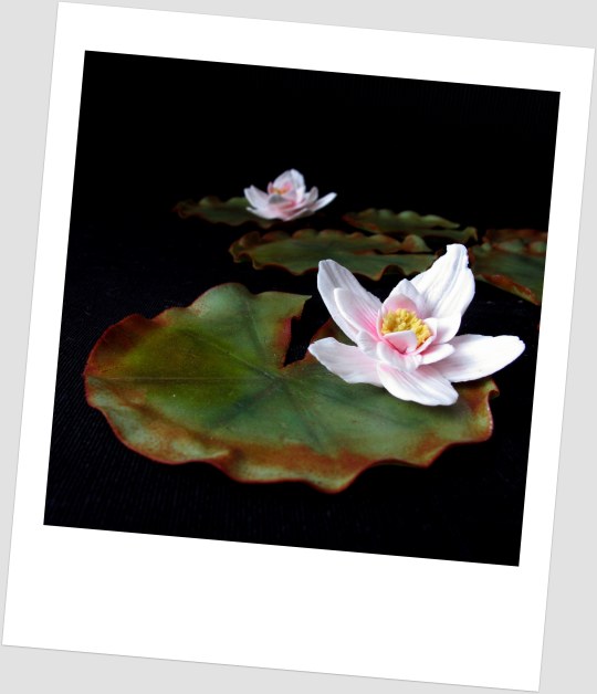 the fondant water lily