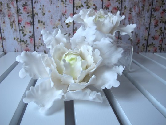 peonía cerrada de pasta de azúcar flores