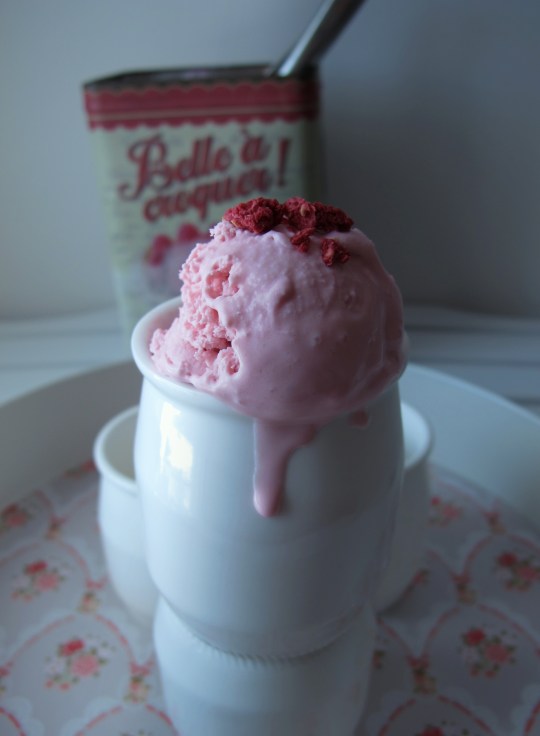 Helado de yogur griego con frambuesas